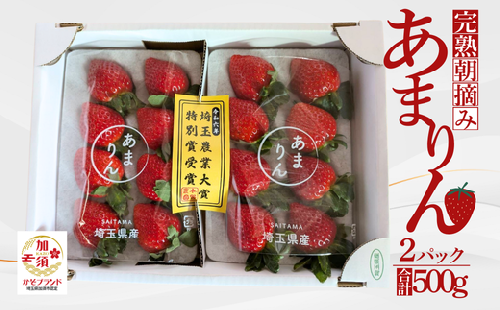 「埼玉農業大賞特別賞」を受賞！ 完熟朝摘み あまりん　250g×2　(8粒～15粒)　【苺】 イチゴ おおきい スイーツ あかい 果物 ふるさと納税 いちご うまい フルーツ 期間限定 人気いちご 甘い いちご 旬 直送 おすすめいちご ストロベリー 苺ジャム いちご 好きのための いちご