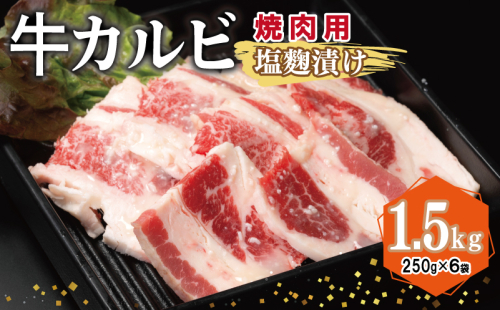 牛カルビ 焼肉用 塩麹漬け 合計1.5kg【味付け 小分け 焼くだけ 簡単調理 BBQ 牛肉 250g×6袋】 015B369 2011241 - 大阪府泉佐野市