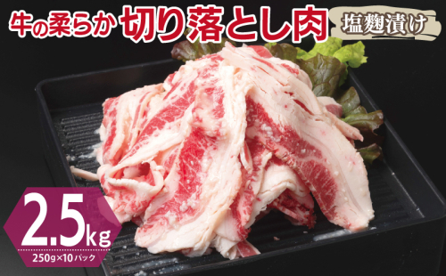 牛肉 切り落とし 塩麹漬け 合計2.5kg【味付け 小分け 焼くだけ 簡単調理 BBQ 牛肉 250g×10袋】 099H3387 2011251 - 大阪府泉佐野市