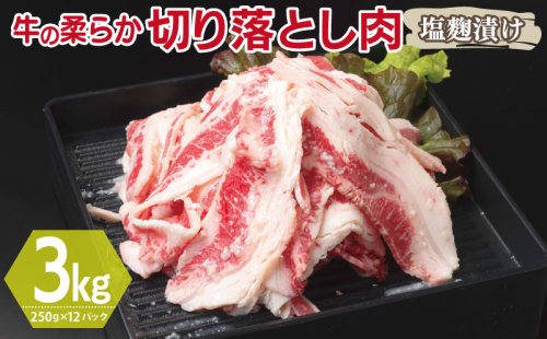 牛肉 切り落とし 塩麹漬け 合計3kg【味付け 小分け 焼くだけ 簡単調理 BBQ 牛肉 250g×12袋】 099H3388 2011252 - 大阪府泉佐野市