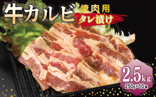 牛カルビ 焼肉用 タレ漬け 合計2.5kg【味付け 小分け 焼くだけ 簡単調理 BBQ 牛肉 250g×10袋】 099H3391 2011255 - 大阪府泉佐野市