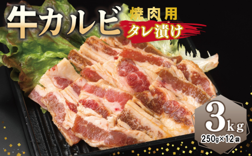 牛カルビ 焼肉用 タレ漬け 合計3kg【味付け 小分け 焼くだけ 簡単調理 BBQ 牛肉 250g×12袋】 099H3392 2011256 - 大阪府泉佐野市