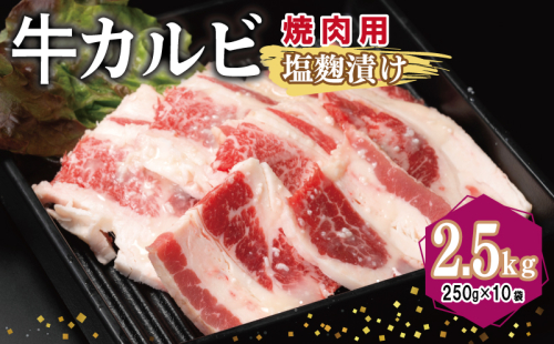 牛カルビ 焼肉用 塩麹漬け 合計2.5kg【味付け 小分け 焼くだけ 簡単調理 BBQ 牛肉 250g×10袋】 099H3394 2011258 - 大阪府泉佐野市