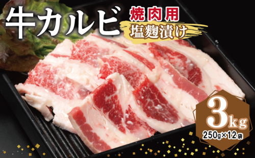 牛カルビ 焼肉用 塩麹漬け 合計3kg【味付け 小分け 焼くだけ 簡単調理 BBQ 牛肉 250g×12袋】 099H3395 2011259 - 大阪府泉佐野市