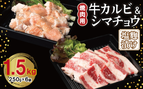 牛カルビ＆シマチョウ 塩麹漬け 焼肉セット 合計1.5kg【味付け 小分け 焼くだけ 簡単調理 BBQ 250g×6袋 牛肉 ホルモン】 099H3398 2011263 - 大阪府泉佐野市