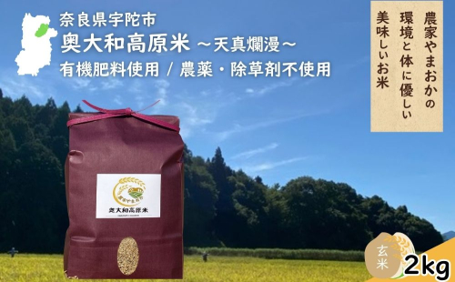 天真爛漫 奥大和高原米 ＜令和7年産 玄米 2kg＞ ／ ふるさと納税 無農薬 米 お米 こめ コメ 国産 新米 玄米 一等米 農家やまおか 有機肥料使用 農薬不使用 除草剤不使用 奈良県 宇陀市 2011593 - 奈良県宇陀市