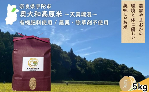 天真爛漫 奥大和高原米 ＜令和7年産 玄米 5kg＞ ／ ふるさと納税 無農薬 米 お米 こめ コメ 国産 新米 玄米 一等米 農家やまおか 有機肥料使用 農薬不使用 除草剤不使用 奈良県 宇陀 2011679 - 奈良県宇陀市
