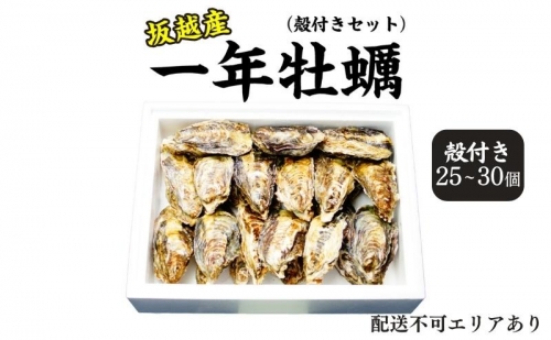  牡蠣 坂越かき 殻付き (25個～30個) 冬牡蠣 201175 - 兵庫県赤穂市