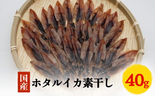 ホタルイカ素干し40g | 素干 珍味 つまみ 酒の肴 富山 氷見 富山湾 魚介 簡単調理 冷凍 2012134 - 富山県氷見市