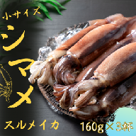 【朝どれシマメ 丸ごと3杯セット】160g×3杯 いか イカ スルメイカ 朝どれシマメ