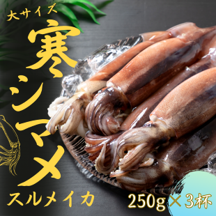 【朝どれ寒シマメ 丸ごと3杯セット】250g×3杯 いか イカ スルメイカ 朝どれ寒シマメ 2012174 - 島根県海士町