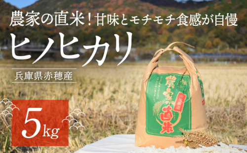 2023年10月下旬から発送【令和5年産】農家の直米！甘味とモチモチ食感が自慢の『赤穂市産ヒノヒカリ』(5kg) 201239 - 兵庫県赤穂市