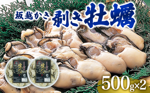  牡蠣 坂越かき 剥き牡蠣 500g×2[ 生牡蠣 かき カキ むき身 剥き身 生食 冬牡蠣 ] 201276 - 兵庫県赤穂市