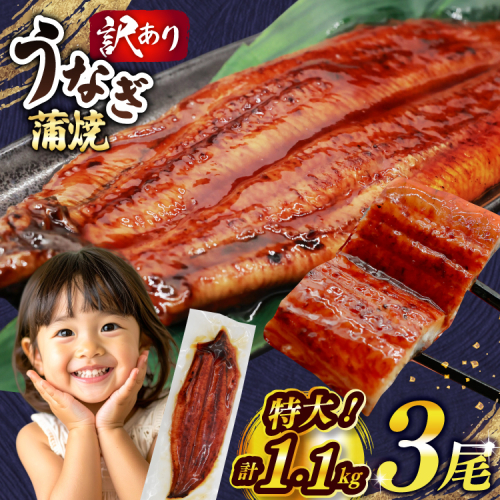 うなぎ 蒲焼 特大サイズ 肉厚 約 1.1kg 3尾 タレ・山椒付 茶葉蒸し [大黒物産 福岡県 宇美町 um40bak830001] 鰻 ウナギ 小分け うなぎ蒲焼 鰻蒲焼き 訳あり 蒲焼き かば焼き 茶葉蒸しうなぎ 真空パック 個包装 冷凍 unagi 2012805 - 福岡県宇美町