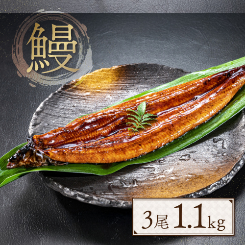 うなぎ 小分け 蒲焼 3尾 特大サイズ 約 1.1kg 肉厚 タレ・山椒付 茶葉蒸し [大黒物産 福岡県 宇美町 um40bak830001] 鰻 ウナギ うなぎ蒲焼 鰻蒲焼き 訳あり 蒲焼き かば焼き 真空パック 個包装 冷凍 unagi 2012805 - 福岡県宇美町