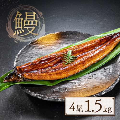 【先行予約2025年4月上旬～】うなぎ 特大サイズ1.5ｋｇ！茶葉蒸し有頭鰻かば焼　4尾（たれ・山椒付き）　zo002 2012806 - 福岡県宇美町