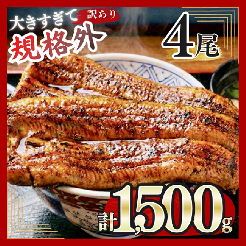 うなぎ 訳あり 蒲焼 特大 肉厚 4尾 約 1.5kg 小分け タレ 山椒付き [大黒物産 福岡県 宇美町 um40bak830002] 不揃い 規格外 家庭用 鰻 ウナギ unagi うなぎ蒲焼 鰻蒲焼き 蒲焼き かば焼き 真空パック 個包装 冷凍 13000 13000円 2012806 - 福岡県宇美町