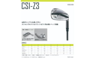 ゴルフ ゴルフクラブ ラズルダズルCSI-Z3 アイアンセット グラファイトデザイン ラウネ オーダーメイド アイズファクトリー｜F41