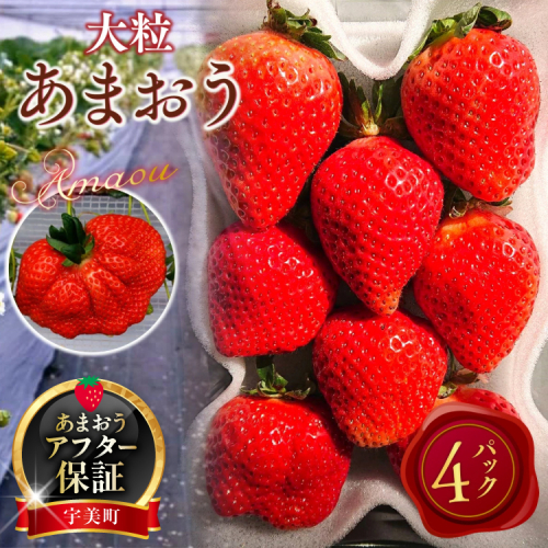 【期間限定発送】 いちご あまおう 厳選大粒 4p [THE FARM_strawberry 福岡県 宇美町 um40azo780007] イチゴ 苺 大粒 フルーツ 果実 甘い 小分け 201454 - 福岡県宇美町