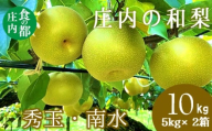 食の都庄内　庄内の和梨【秀玉or南水】約10kg※9月中旬ごろより順次配送