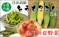 食の都庄内　庄内の夏野菜＆月山高原とうもろこし