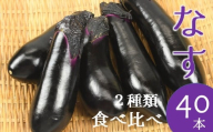 食の都庄内　庄内砂丘なす食べ比べセットたっぷり計40本※7月中旬～9月配送
