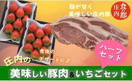 食の都庄内　庄内の美味しい豚肉＆いちごハーフセット※1月中旬頃より順次配送（金曜日発送）