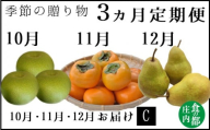食の都庄内　《10・11・12月お届け-C》旬のフルーツ3ヶ月定期便