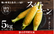 とうもろこし サニーショコラライラ 5kg 12～16本 極甘 スイートコーン コーン 生食用 野菜 やさい サラダ スープ コーンスープ 生 BBQ アウトドア 旬 朝採り 人気 お取り寄せ 先行予約 産地直送 期間限定 おすすめ 2025年5月発送予定