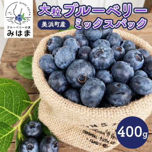 【数量＆期間限定】国産大粒ブルーベリー 100g×4パック入り ※2025年6月中旬～8月中旬に順次発送予定 ※北海道・沖縄・離島への配送不可 2016040 - 愛知県美浜町