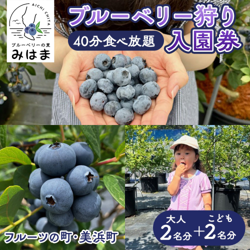 【食べ放題！】ブルーベリ狩り入園券 大人2名分+子供2名分 2016062 - 愛知県美浜町