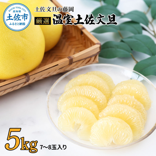 ＜土佐文旦の藤岡＞先行予約　厳選 温室土佐文旦 5kg (7～8玉）文旦 ぶんたん ブンタン 土佐文旦 ハウス栽培 甘い  柑橘 フルーツ 果物 ご当地 お取り寄せ 2016334 - 高知県土佐市