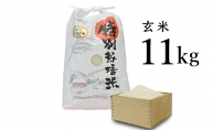 【先行予約】安八町産 ハツシモ（ぎふクリーン米）11kg 令和4年産【玄米】