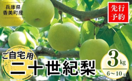 【先行予約】8月下旬〜9月中旬までにお申込み順に発送いたします。※北海道・沖縄・離島への配送不可※返礼品出荷時に、登録されたメールアドレスにお届け伝票番号が記載された「ふるさと納税返礼品発送完了のお知