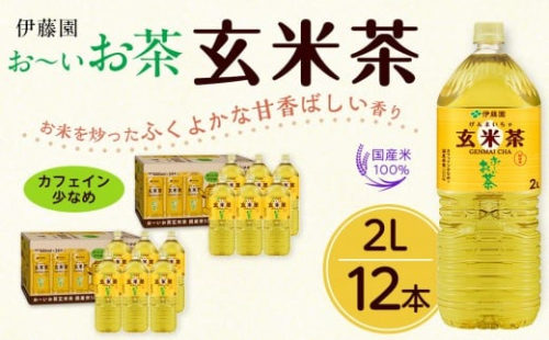 お～いお茶 玄米茶 2L×12本セット［おーいお茶 ペットボトル ケース 箱 伊藤園 静岡］ 2017237 - 静岡県御前崎市