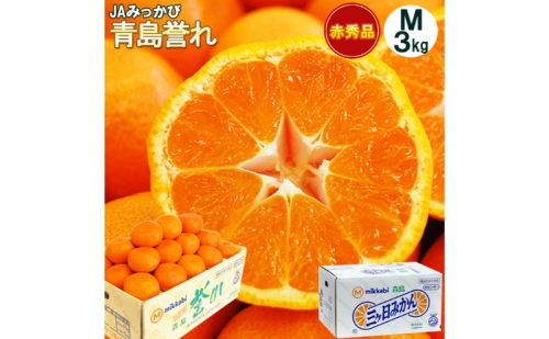 三ヶ日みかん 本貯蔵 青島 誉れ 【赤秀】Mサイズ3キロ(27個前後)  ミカン 果物 くだもの フルーツ 甘い 浜松市 果物類 柑橘類 2017360 - 静岡県浜松市