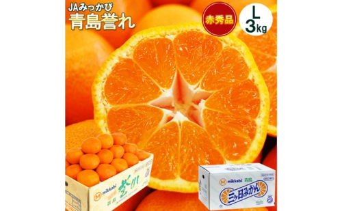 三ヶ日みかん 本貯蔵 青島 誉れ 【赤秀】Lサイズ 3キロ(23個前後) ミカン 果物 くだもの フルーツ 甘い 浜松市 果物類 柑橘類 2017362 - 静岡県浜松市