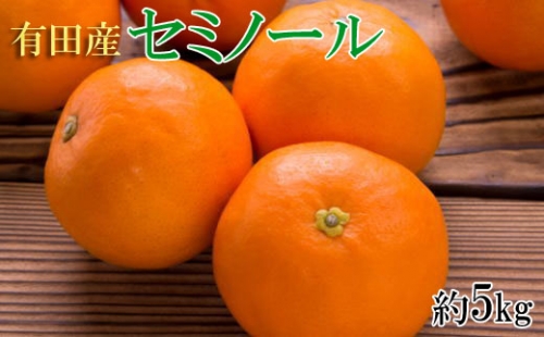 和歌山有田産セミノールオレンジ約5kg(サイズおまかせ　秀品) 【tec921】 201737 - 和歌山県北山村
