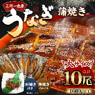 三河一色産 うなぎ蒲焼き 大10尾 タレ付き セット 簡単調理 冷凍