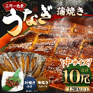 三河一色産 うなぎ蒲焼き 中10尾 タレ付き セット 簡単調理 冷凍