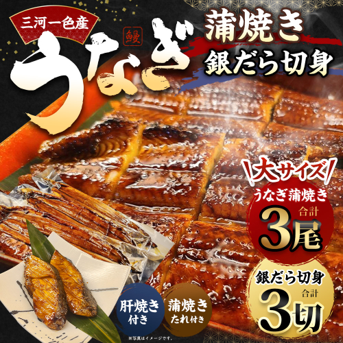 三河一色産 うなぎ蒲焼き 大3尾 + 銀たら 照り焼き 3切れ 蒲焼きたれ セット 簡単調理 冷凍 2017509 - 愛知県幸田町