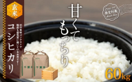 H09-B04 コシヒカリ（玄米60kg）令和7年産
