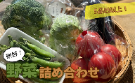 [5品目以上]季節の野菜詰め合わせ