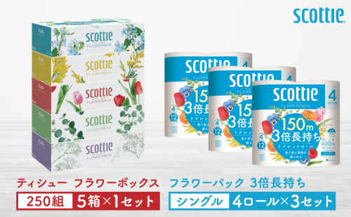 【スコッティ】ティシュー フラワーボックス 250組（5箱パック×1セット）＋フラワーパック 3倍長持ち（4ロール(シングル)パック×3セット）ティッシュ トイレットペーパー 日用品 2017894 - 熊本県八代市