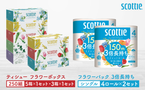 【スコッティ】ティシュー フラワーボックス 250組（5箱パック×1セット・3箱パック×1セット）＋フラワーパック 3倍長持ち（4ロール(シングル)パック×2セット）ティッシュ トイレットペーパー 日用品 2017895 - 熊本県八代市