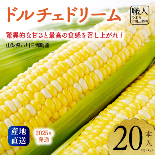 2025年発送！【山梨県市川三郷町産】Inakakara「ドルチェドリーム」20本入[5839-2166] 2018038 - 山梨県市川三郷町