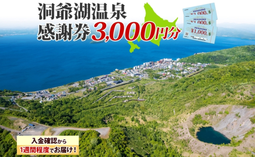 洞爺湖温泉感謝券 3000円 分 金券 クーポン 洞爺湖 湖 温泉 リゾート 有珠山 火山 自然 花火 イルミネーション 旅行 観光 宿泊 施設 北海道 201870 - 北海道洞爺湖町