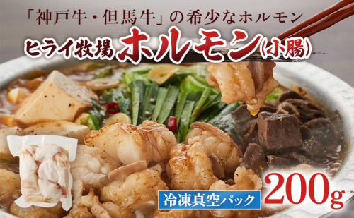 神戸牛・但馬牛 希少 ホルモン 小腸 200g 国産牛 冷凍 もつ鍋 牛肉 お肉 2018856 - 兵庫県加西市