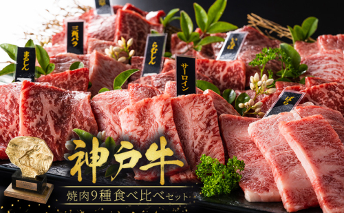 神戸牛 焼肉 食べ比べ 9種 計2160g 80g×27 ゆず山椒付き 焼肉セット 焼き肉 牛肉 和牛 焼肉用 キャンプ BBQ アウトドア バーベキュー 黒毛和牛 お肉 冷凍 福袋 神戸ビーフ 2018882 - 兵庫県加西市