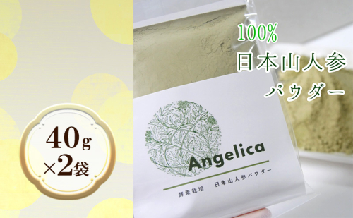 ★希少★日本山人参（葉と茎の粉末） 2袋 飲料類 お茶 野菜/人参  201917 - 福岡県朝倉市